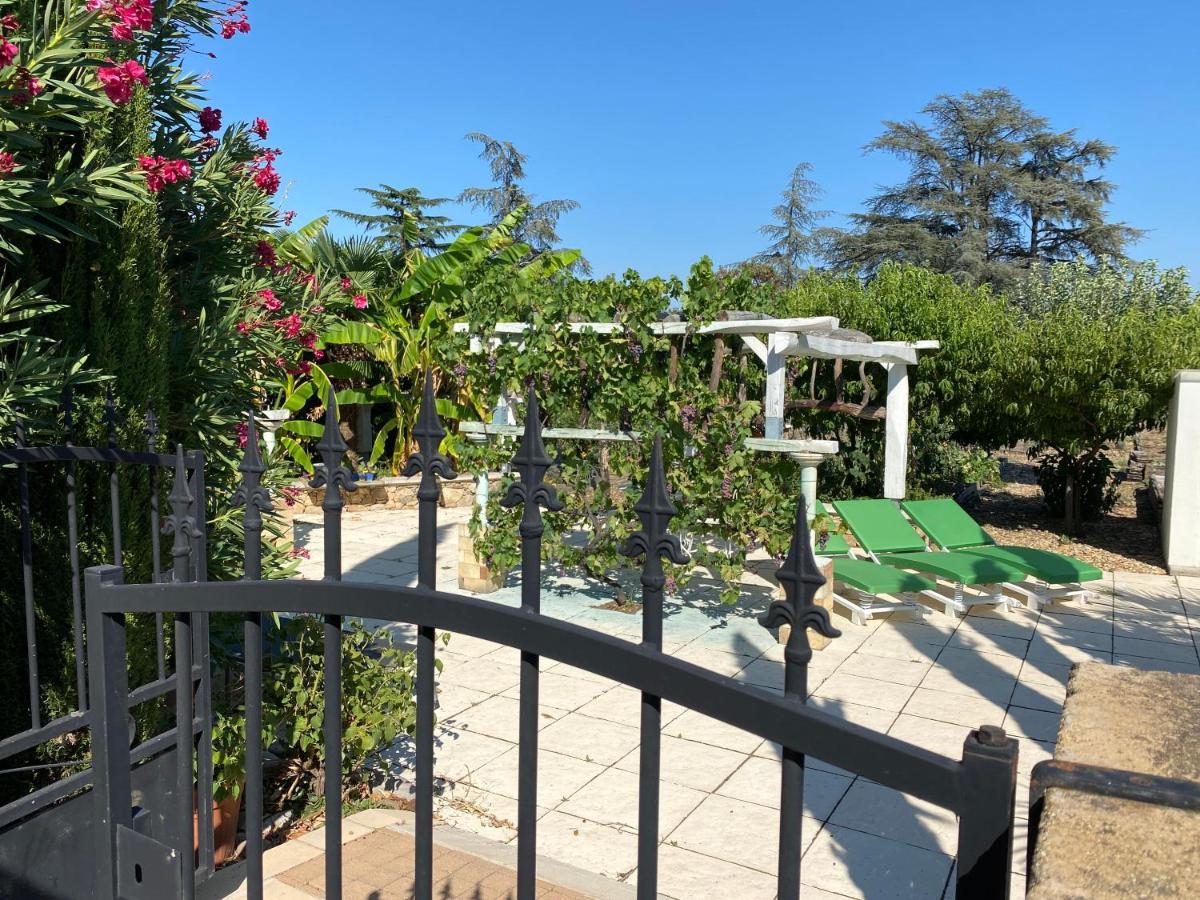 Chambres Privees Dans Maison Avec Grand Parc Et Piscine Proche Via Rhona Andancette Buitenkant foto